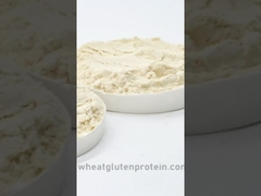 Жизненно важный пшеничный глютен, пшеничный глютен, глютен